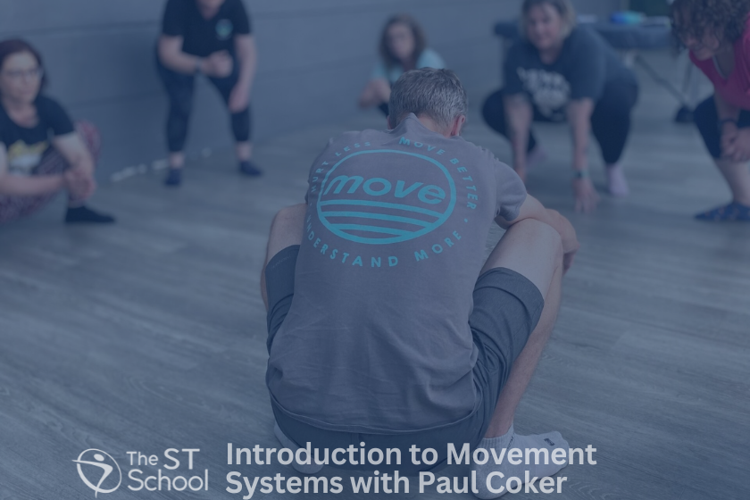 Introduction to Movement Systems: a hands on, neurologically informed ...