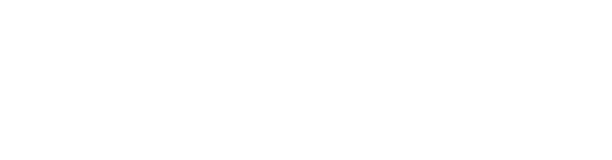 The ST School Training Modern Manual and Movement Therapists