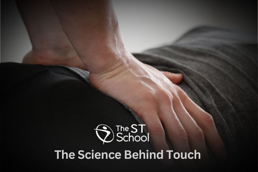 Therapist Sports Massage Course