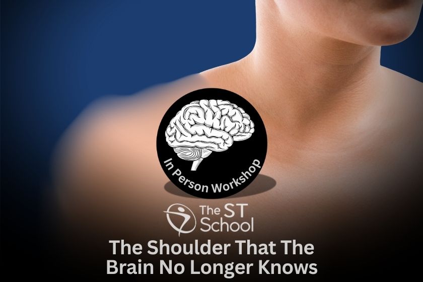 Therapist Sports Massage Course